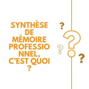 synthese professionnel